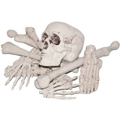 Bag Of Bones