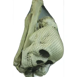 Bag Of Bones