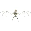 Bat Skeleton
