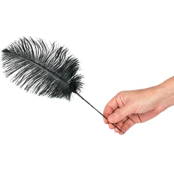 Black Ostrich Feathers - 24 Pc.