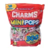 Bulk 300 Pc. Charms