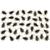 Cockroaches - Bag Of 40
