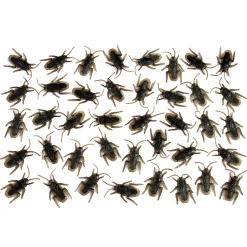 Cockroaches - Bag Of 40