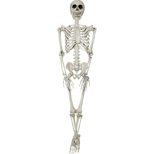3' Hanging Skeleton Halloween Decoration