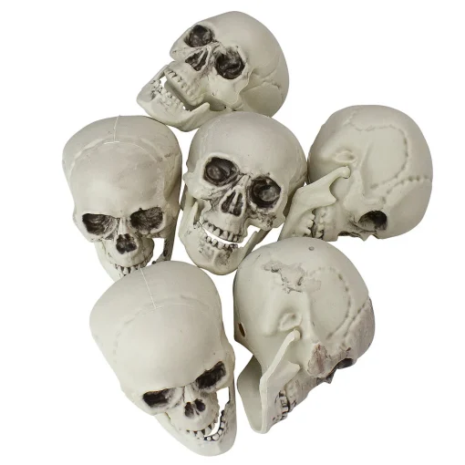 Pack Of 6 Skull Head Halloween Decorations 3.5"