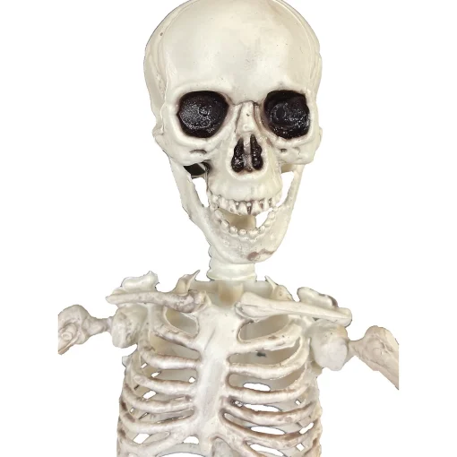 19" Poseable Skeleton Decoration