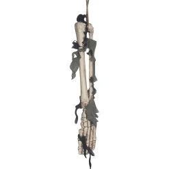 Skeleton Foot