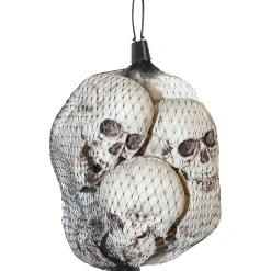 Skull 6 Pieces