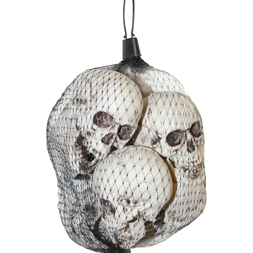 Skull 6 Pieces