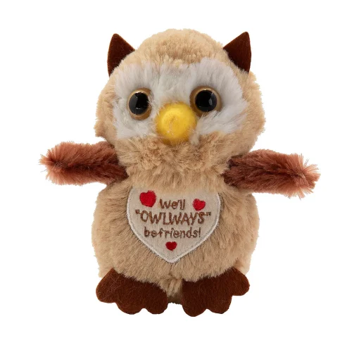 Valentine Stuffed Owls - 12 Pc.