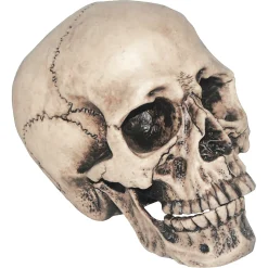 Vinyl Skull Decoration