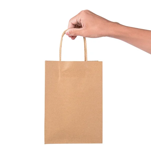 6 1/2" X 9" Medium Kraft Paper Gift Bags - 12 Pc.