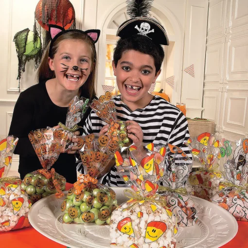 5" X 11" Spooky Halloween Cellophane Bag Assortment - 36 Pc.