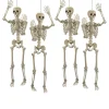 5 Ft. Life Size Posable Skeleton Halloween Decoration - 4 Pc.