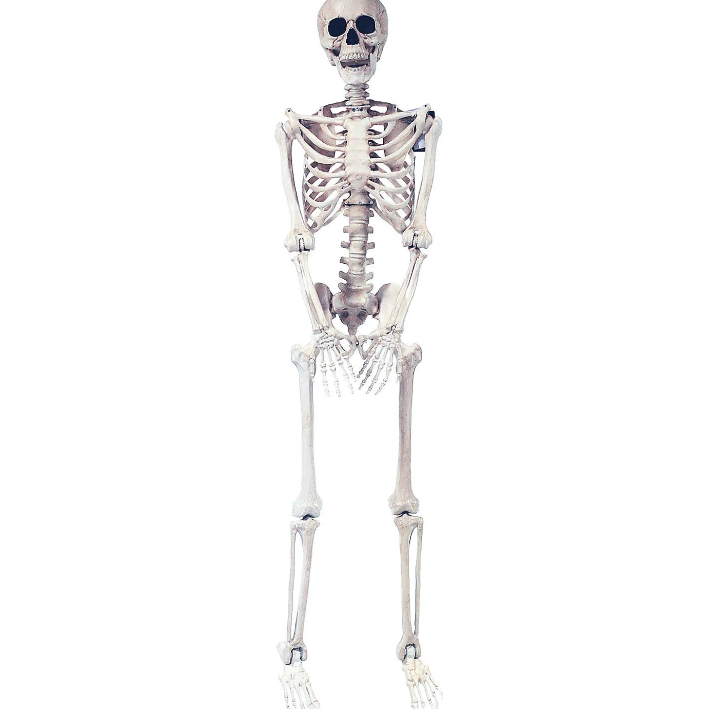 5 Ft. Skeleton Pose & Hold Halloween Decoration