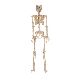 5 Ft. Werewolf Skeleton Halloween Decoration
