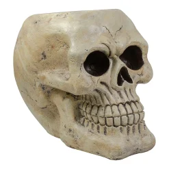 11" Ivory And Black Halloween Skull Tabletop Decoration