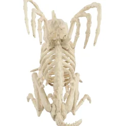 10" Skeleton Gargoyle Decoration