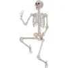 79" Skeleton Titan Halloween Decoration