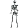 5' Steel Gray Skeleton Halloween Decoration