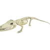 Alligator Skeleton Halloween Decoration