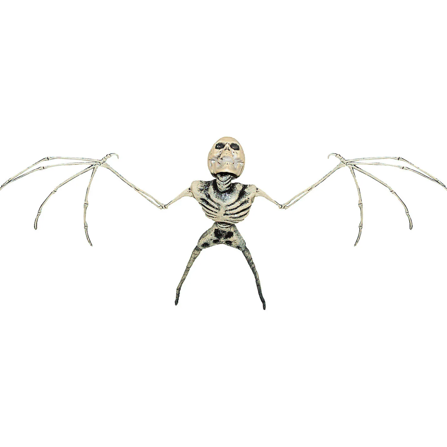Bat Skeleton