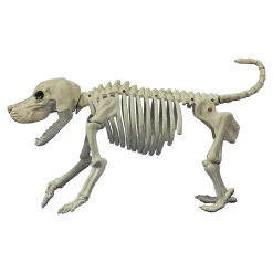 Beagle Bonez Dog Skeleton Halloween Decoration