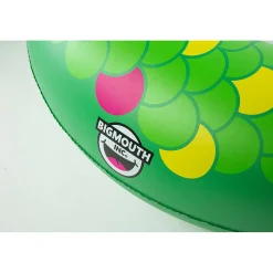 Bigmouth Double Snake Two Person Pool Float