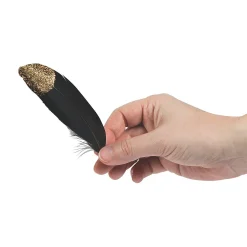 Black & Gold Glitter Feathers