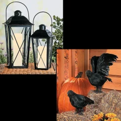Black Lanterns & Crows Decorating Kit - 4 Pc.