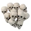 Bulk Bag Of Skulls - 36 Pc.