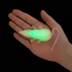 Creepy Glow Creatures – 12 Pc.