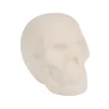 Diy Mini Ceramic Skull - 12 Pc.