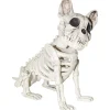 Dog Skeleton