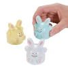 Easter Bunny Pull-Back Toys - 12 Pc.