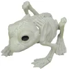 Frog Skeleton Decoration