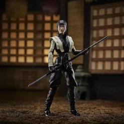 Gi Joe Classified Series 6 Inch Action Figure Akiko