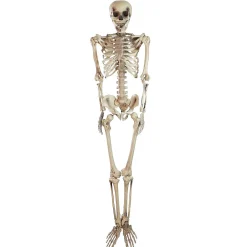 Northlight 5' Life Size Skeleton Halloween Decoration