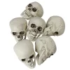 Pack Of 6 Skull Head Halloween Decorations 3.5"