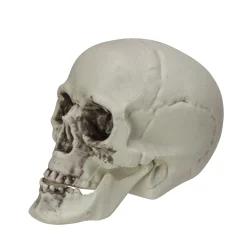 Pack Of 6 Skull Head Halloween Decorations 3.5