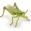 Papo Grasshopper