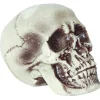 Realistic Skull Decoration
