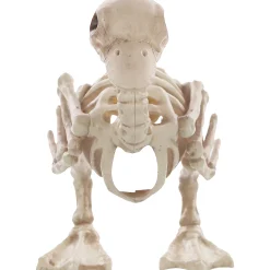 Skeleton Duck Decoration