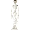 Skeleton Mermaid