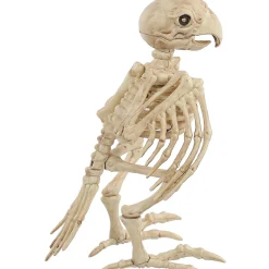 Skeleton Parrot Prop