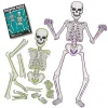 Skeleton Puzzle Scavenger Hunt Game