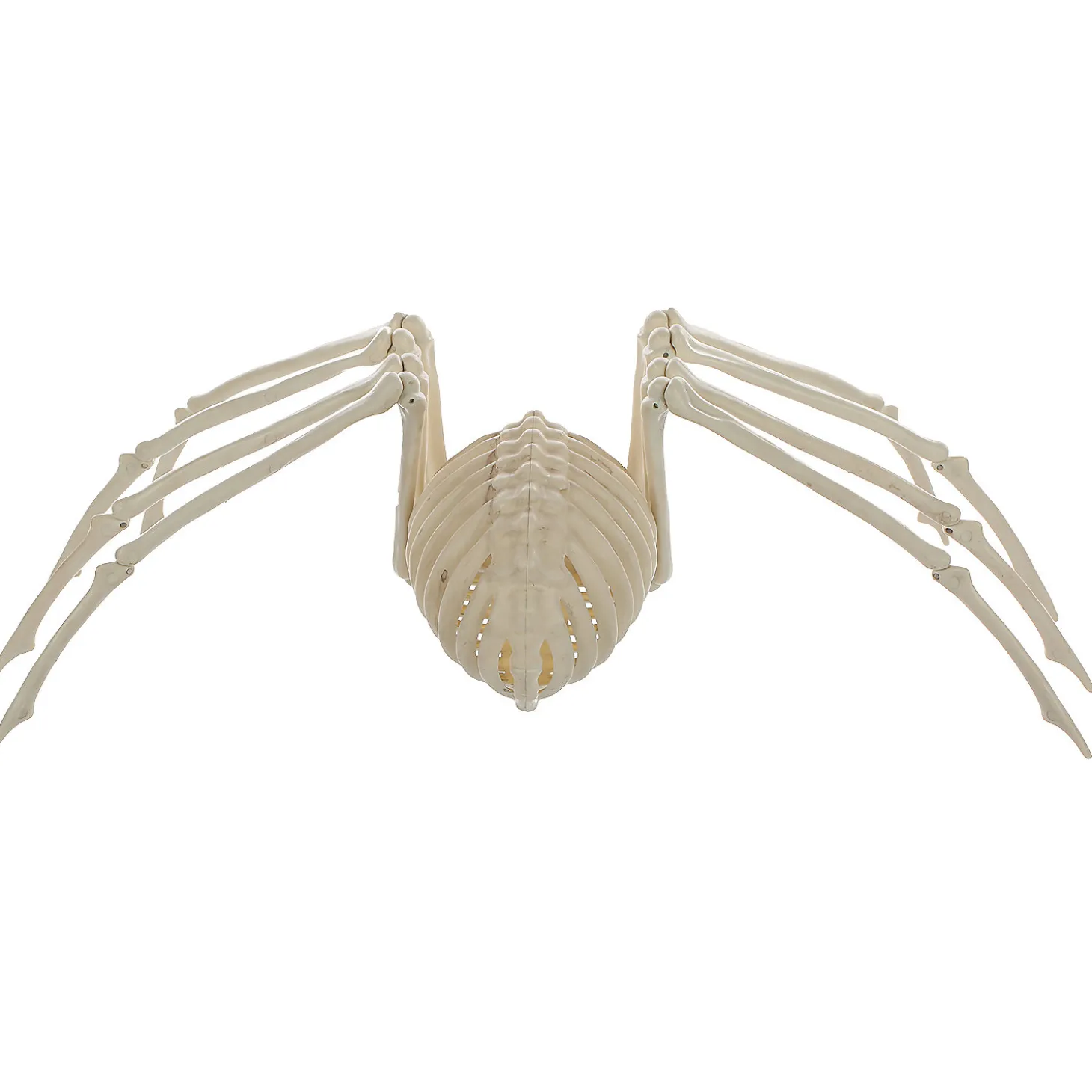 Skeleton Spider Prop