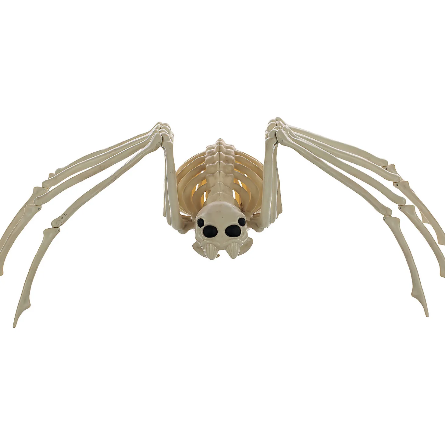 Skeleton Spider Prop
