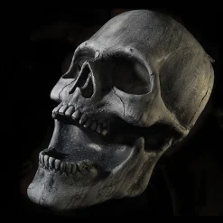 Stone Skull Prop