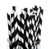 Striped Paper Straws - 24 Pc.